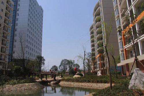 房建聚焦 此路是我开,此 地标 是我造